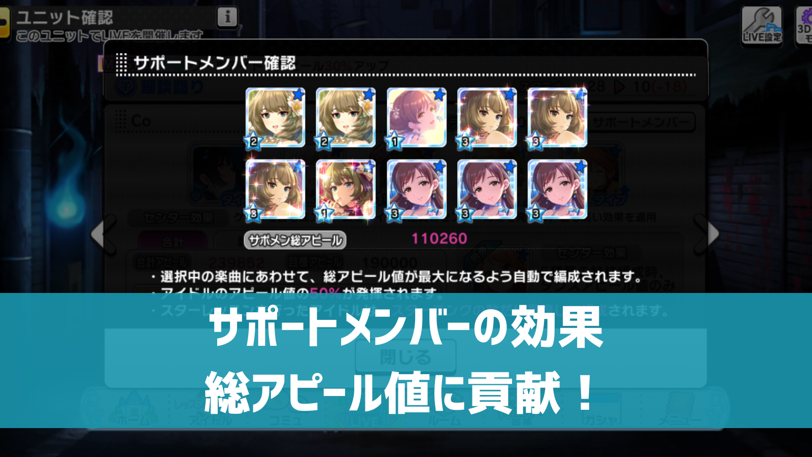 サポート メンバー と は